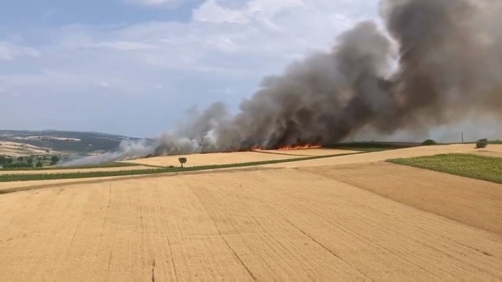 80 dönüm alan küle döndü