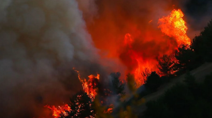 Çanakkale’de ormanlık alanda yangın