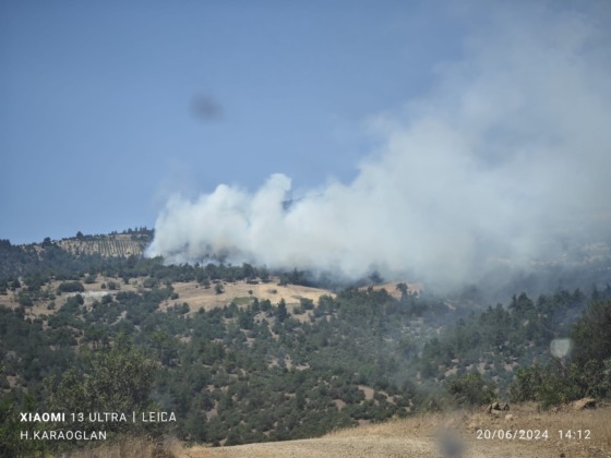 Tedbirler Alınsın Ülkenin Tarım Ve Orman Alanları Yanıyor!