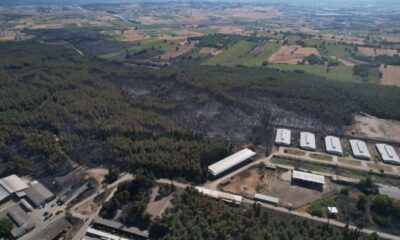 Bursa’da acı tablo!