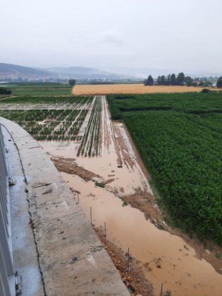 Bursa Ovası’nda binlerce dönüm ekili alan sular altında