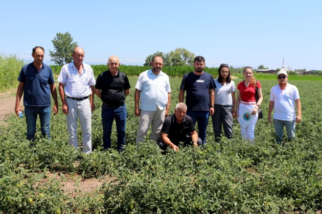 Karacabey ovasında fitotoksitite tehlikesi