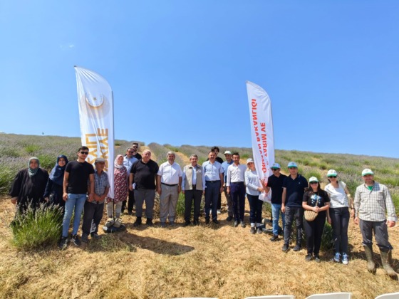 Orhaneli’nde lavanta hasadı başladı