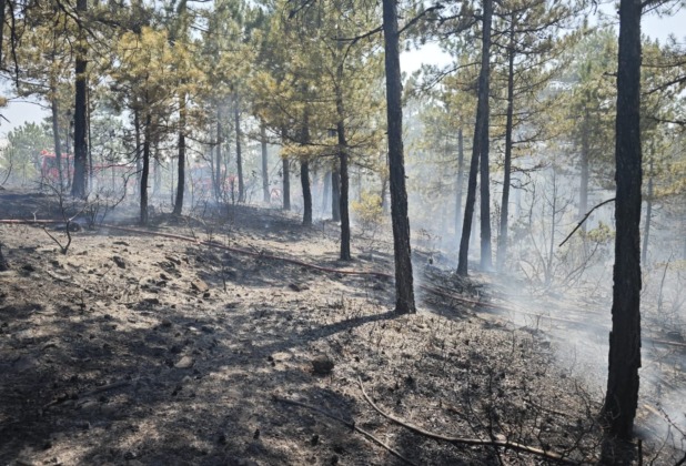 Bursa’nın Orhaneli ilçesinde çıkan yangın kontrol altına alındı