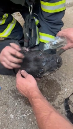 İtfaiyeden hayat kurtaran müdahale