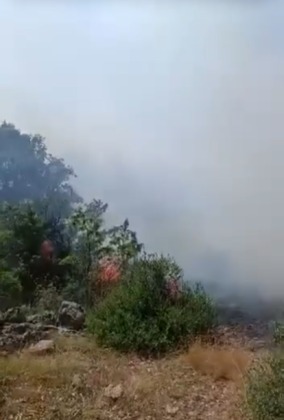 Bursa’da orman yangını çıktı, havadan ve karadan müdahaleler başladı