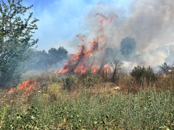 Bursa’da otluk alanda çıkan yangın büyümeden söndürüldü