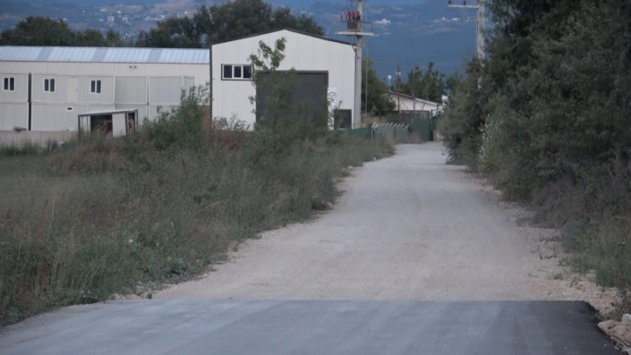 Bir köpek dehşeti de Bursa’dan…