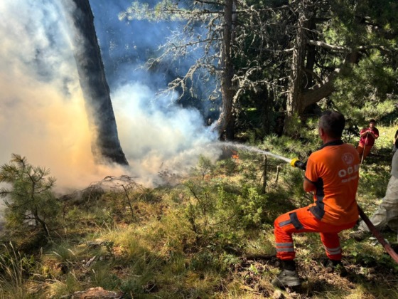 Uludağ’ın eteklerinde korkutan yangın
