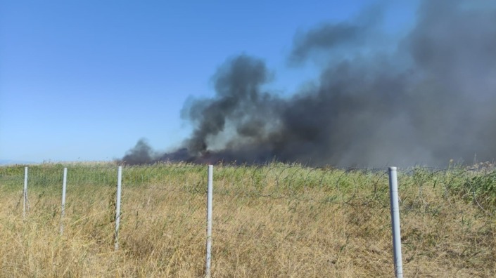 Bursa’da sazlık alanda yangın