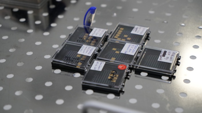 Yerli çipin babayiğitleri Bursa’da