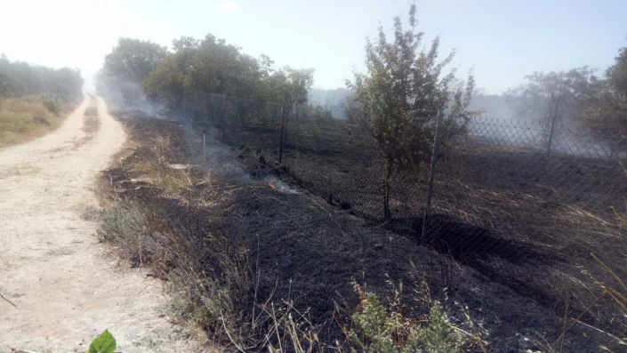 Otobandan atılan sigara izmariti, yangın çıkardı