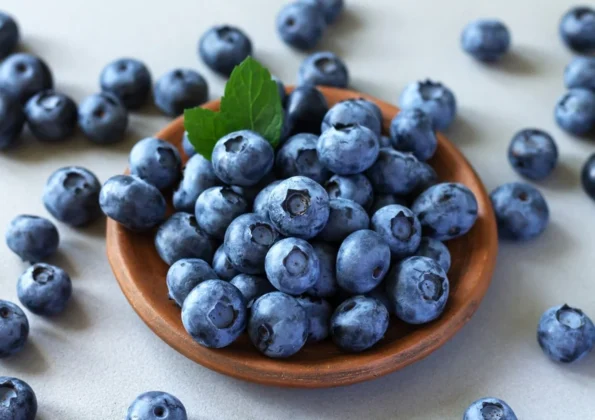 Yaban mersininde hasat zamanı