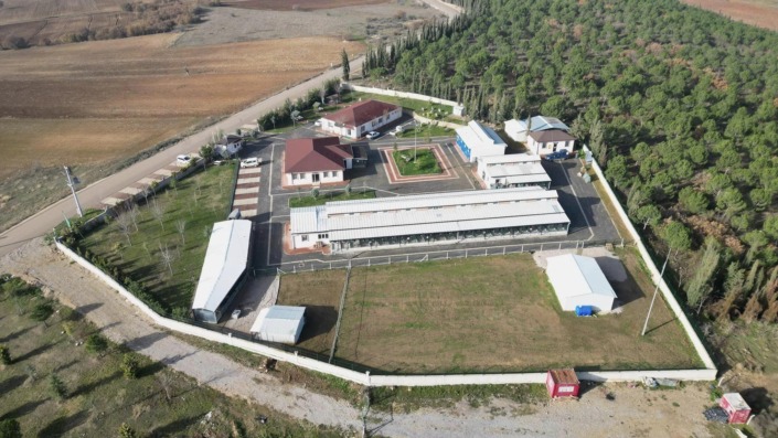 266 can dostu yeni yuvasına kavuştu