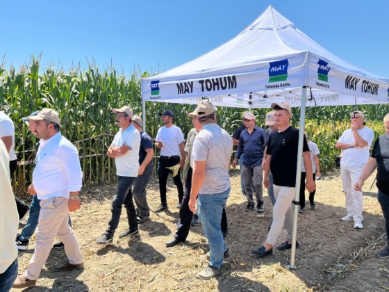 Farklı şehirlerden gelen çiftçiler, tarlada yetişen mısırları inceledi