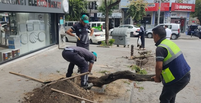 Büyükşehirden çevre duyarlılığı