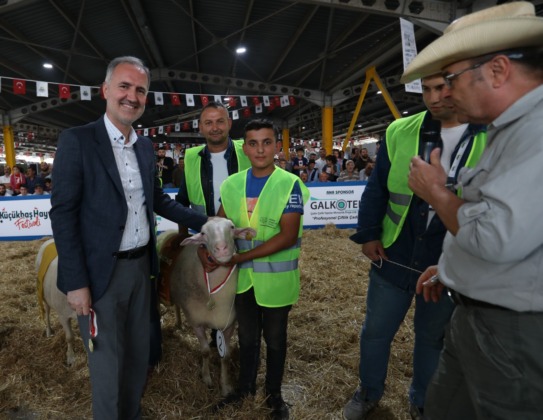 Yerli Tavuk Irkları İle Koçlar İnegöl’de Podyuma Çıkacak