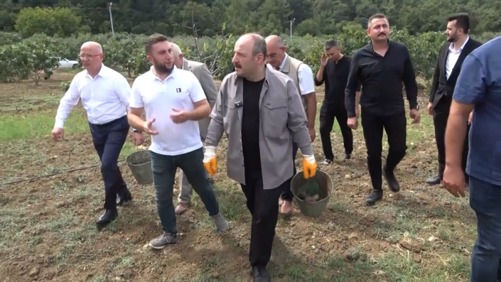 İncir hasadına katılan AK Parti Millet Vekili Mustafa Varank, “İftiralarla karalamaya çalışan bir kesim var”