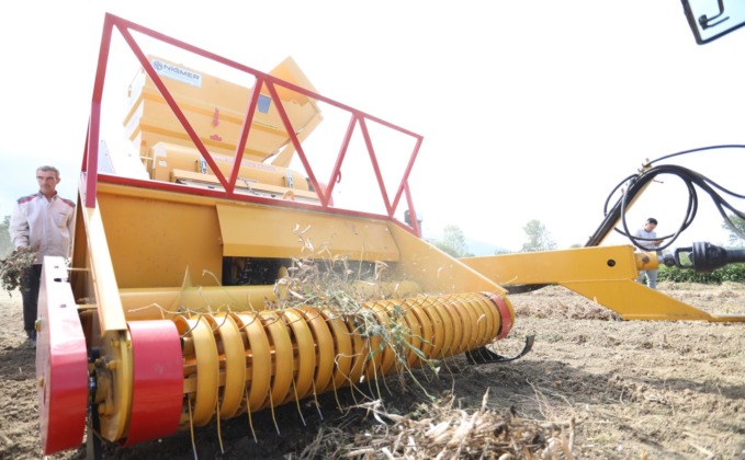 Cerrah Kuru Fasulyesinin hasadı başladı