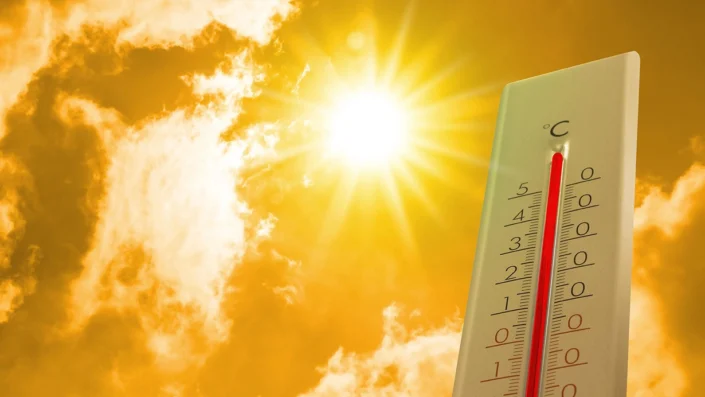 Aşırı sıcaklar 248 can aldı!