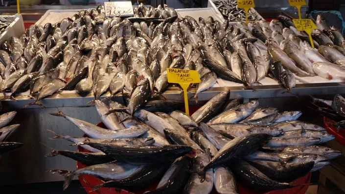 Tezgahlar şenlendi, balıkçılar bayram etti