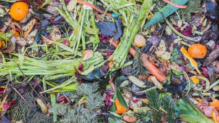 Türkiye’de her yıl ortalama 23 milyon ton gıda israf ediliyor