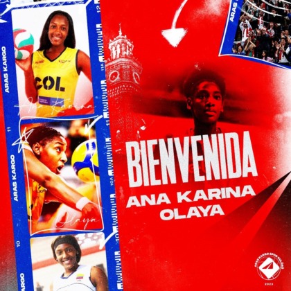 Ana Karina, Aras Kargo’da