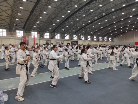 Osmangazi’de ‘karate eğitim semineri’ düzenlendi