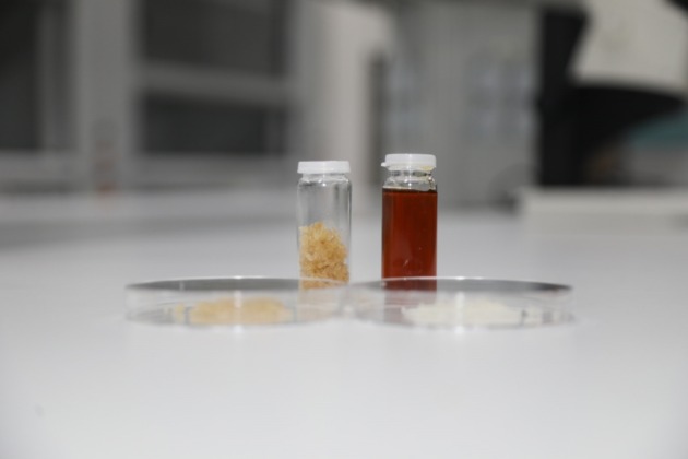 BTÜ’den bağırsak sağlığını destekleyen gıda takviyesi