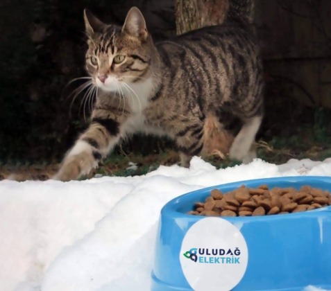 Sevgimiz, Enerjimiz Sizinle” Projesi can dostlarını unutmuyor