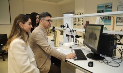 BTÜ’de Uludağ ormanlarındaki arıların tür çeşitliliği belirlenecek