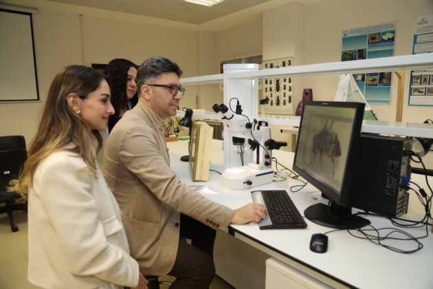BTÜ’de Uludağ ormanlarındaki arıların tür çeşitliliği belirlenecek