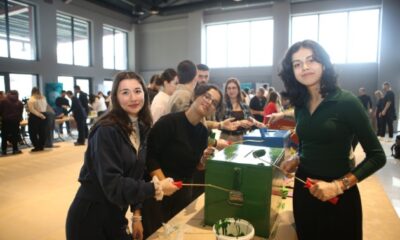 Bursa’da eski oy sandıkları kedilere yuva oldu
