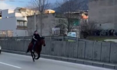 Bursa’da trafiğe atla çıktı!