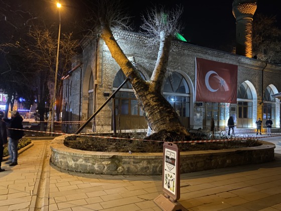 Bursa’da 550 yıllık çınar, tarihi İshakpaşa Camii’nin üzerine devrildi