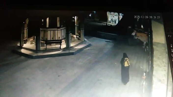 Bursa’da devrilen çınarın altında kalmaktan kıl payı kurtuldu