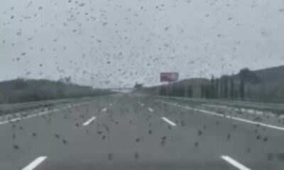Bursa-İzmir otobanında şaşırtan görüntüler!