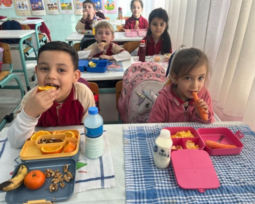 ‘Sağlıklı Beslenme Yolculuğum’ projesi Bursa’da hayata geçiyor