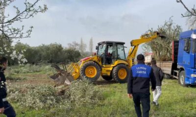 Bursa’da kaçak bağ ve bahçeler kaldırıldı