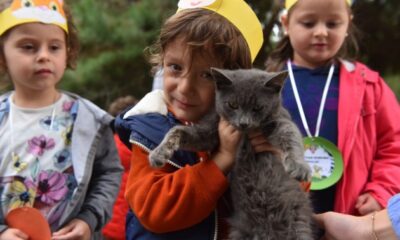 Yıldırım’da 625 patili dost sıcak yuvaya kavuştu