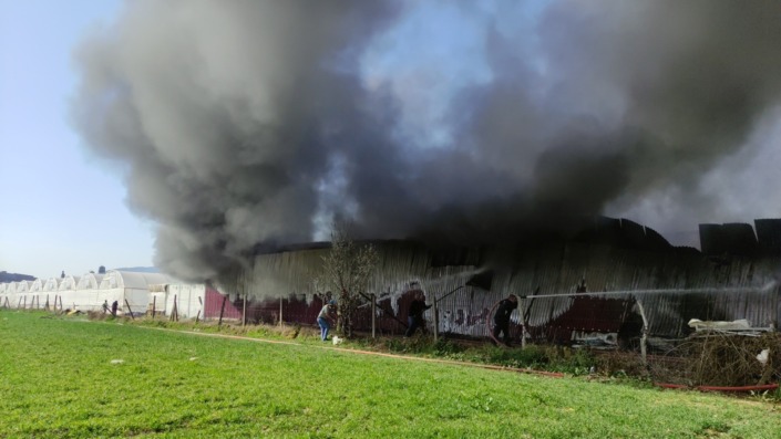 Bursa’da gül serasında yangın çıktı!