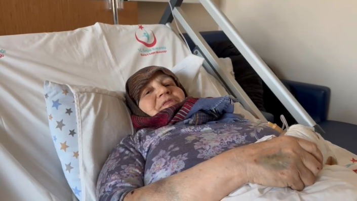 Bursa’da yaşlı kadına başıboş köpekler saldırdı