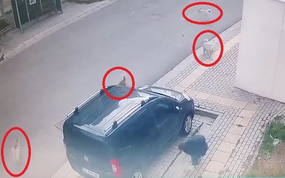 Bursa’da küçük çocuğun korku dolu anları!