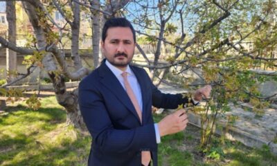 Kraliyet kirazında ciddi kayıpların oluşacağı öngörülüyor