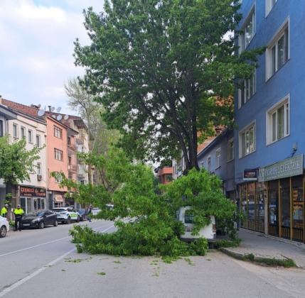 Bursa’da kırılan ağaç, kamyonetin üzerine devrildi