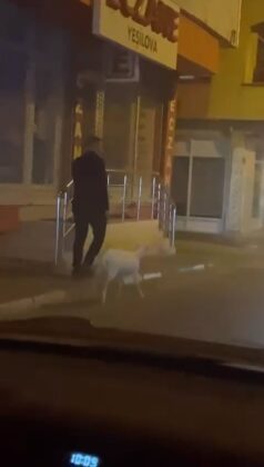 Bursa’da eğittiği kuzusunu dolaşmaya çıkardı