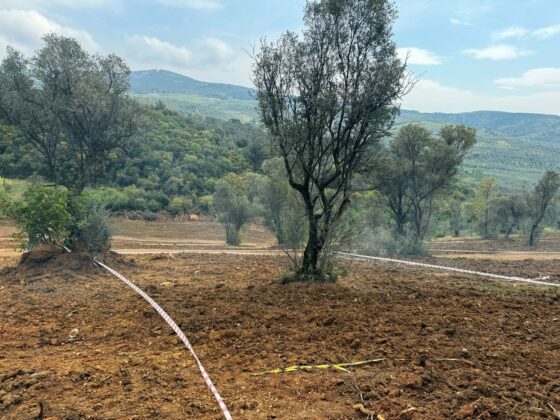 Bursa Mudanya İlçe Kaymakamlığı’ndan tarım arazilerine yönelik uyarı!
