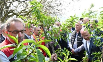 Bakan Yardımcısı Gümen, İznik’te incelemelerde bulundu