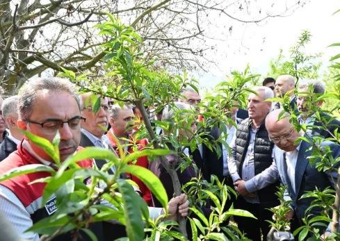 Bakan Yardımcısı Gümen, İznik’te incelemelerde bulundu