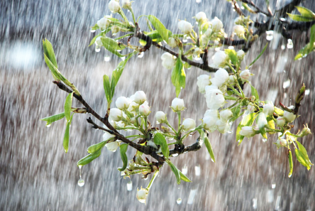 Bursa nisan yağmurlarına teslim oldu